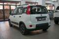Fiat Panda 1.0 FireFly S&S Hybrid City Life Bianco - thumbnail 9