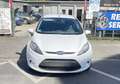 Ford Fiesta Trend,Zahnriemen&Wasserpumpe neu Weiß - thumbnail 2