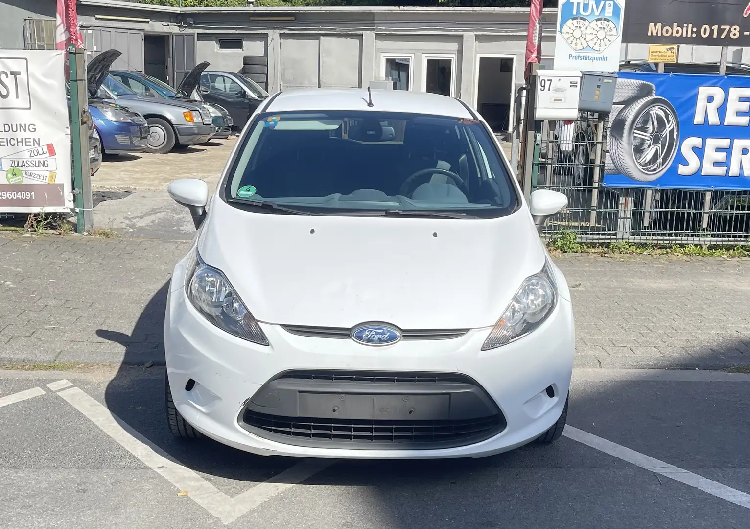 Ford Fiesta Trend,Zahnriemen&Wasserpumpe neu Weiß - 2