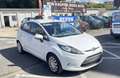 Ford Fiesta Trend,Zahnriemen&Wasserpumpe neu Weiß - thumbnail 1