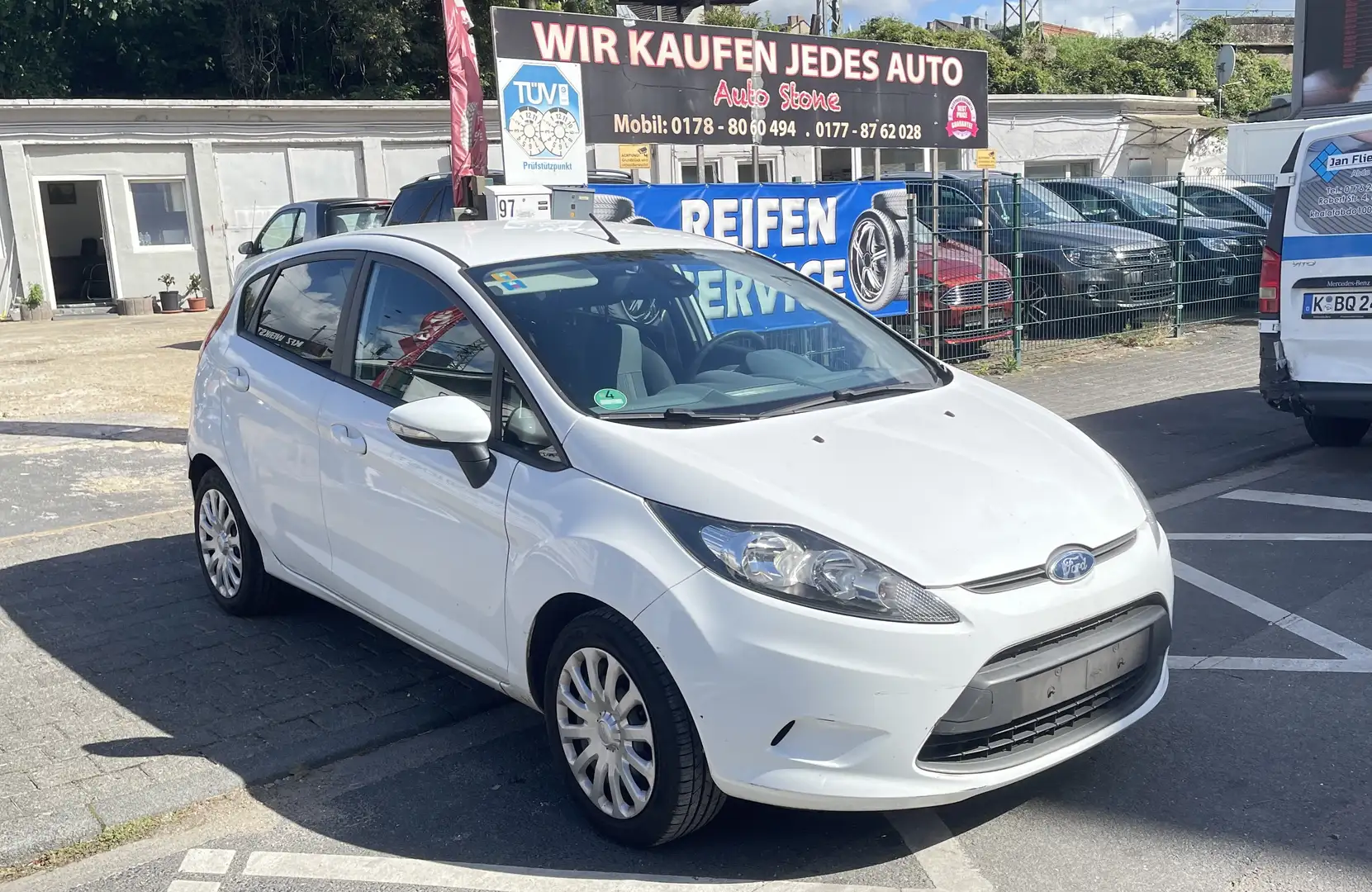 Ford Fiesta Trend,Zahnriemen&Wasserpumpe neu Weiß - 1