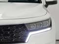 Kia Sorento 1.6 T-GDI HEV DRIVE AUTO 2WD 230 5P 7 Plazas Blanc - thumbnail 12