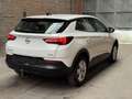 Opel Grandland X KAMERA SHZ Blanc - thumbnail 4