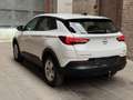 Opel Grandland X KAMERA SHZ Blanc - thumbnail 6