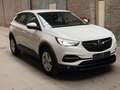Opel Grandland X KAMERA SHZ Blanc - thumbnail 5