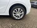 Opel Corsa-e Edition Apple CarPlay Android Auto Klimaautom Musi Weiß - thumbnail 16