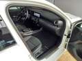 Mercedes-Benz A 250 A 250 e AMG Line Advanced +/11kW, VKZ/MBUX/LED Blanc - thumbnail 12