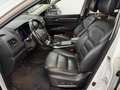 Renault Koleos Limited Initiale Paris 4x4 Weiß - thumbnail 9