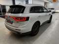 Renault Koleos Limited Initiale Paris 4x4 Weiß - thumbnail 4