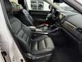 Renault Koleos Limited Initiale Paris 4x4 Weiß - thumbnail 11