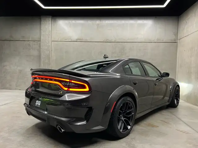 Dodge Charger view 12