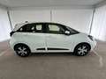 Honda Jazz 1.5 Elegance eCVT Blanco - thumbnail 2