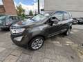 Ford EcoSport Titanium 1.Hand, 32tkm, Scheckheft Gris - thumbnail 13