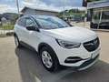 Opel Grandland X 1,5 CDTI Ultimate *AHK*KAMERA*LED* Weiß - thumbnail 21