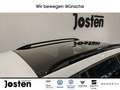 Skoda Kamiq Monte Carlo 1.5 TSI NAVI PDC ACC RFK LED VIRTUAL Weiß - thumbnail 22