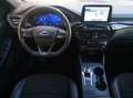Ford Kuga 2.0 EcoBlue 150CV Aut AWD ST-Line *UNIPROPRIETARIO Nero - thumbnail 11