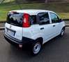 Fiat Panda Panda VAN 1.0 hybrid PREZZO + IVA Weiß - thumbnail 4