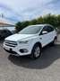 Ford Kuga Kuga 2.0 TDCI 120 CV S&S 2WD Business Bianco - thumbnail 1