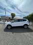 Ford Kuga Kuga 2.0 TDCI 120 CV S&S 2WD Business Bianco - thumbnail 8
