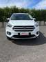 Ford Kuga Kuga 2.0 TDCI 120 CV S&S 2WD Business Bianco - thumbnail 5