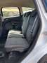 Ford Kuga Kuga 2.0 TDCI 120 CV S&S 2WD Business Bianco - thumbnail 12