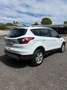 Ford Kuga Kuga 2.0 TDCI 120 CV S&S 2WD Business Bianco - thumbnail 4