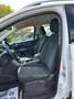 Ford Kuga Kuga 2.0 TDCI 120 CV S&S 2WD Business Bianco - thumbnail 11