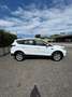 Ford Kuga Kuga 2.0 TDCI 120 CV S&S 2WD Business Bianco - thumbnail 7
