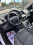 Ford Kuga Kuga 2.0 TDCI 120 CV S&S 2WD Business Bianco - thumbnail 10