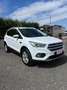 Ford Kuga Kuga 2.0 TDCI 120 CV S&S 2WD Business Bianco - thumbnail 3