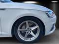 Audi A5 Sportback Diesel (F5) A5 SB sport 2,0 TDI S-tronic Wit - thumbnail 8
