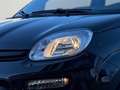 Fiat Panda 1.0 Hybrid GSE, PDC, Klima, Bluetooth, Kamera, Schwarz - thumbnail 7