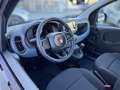 Fiat Panda 1.0 Hybrid GSE, PDC, Klima, Bluetooth, Kamera, Schwarz - thumbnail 10