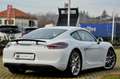Porsche Cayman 981 3.4 GTS 340cv PDK, SERVICE PORSCHE, SCARICO Blanco - thumbnail 6
