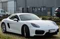 Porsche Cayman 981 3.4 GTS 340cv PDK, SERVICE PORSCHE, SCARICO Blanco - thumbnail 7