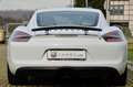 Porsche Cayman 981 3.4 GTS 340cv PDK, SERVICE PORSCHE, SCARICO Blanco - thumbnail 5