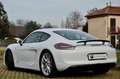 Porsche Cayman 981 3.4 GTS 340cv PDK, SERVICE PORSCHE, SCARICO Blanco - thumbnail 4