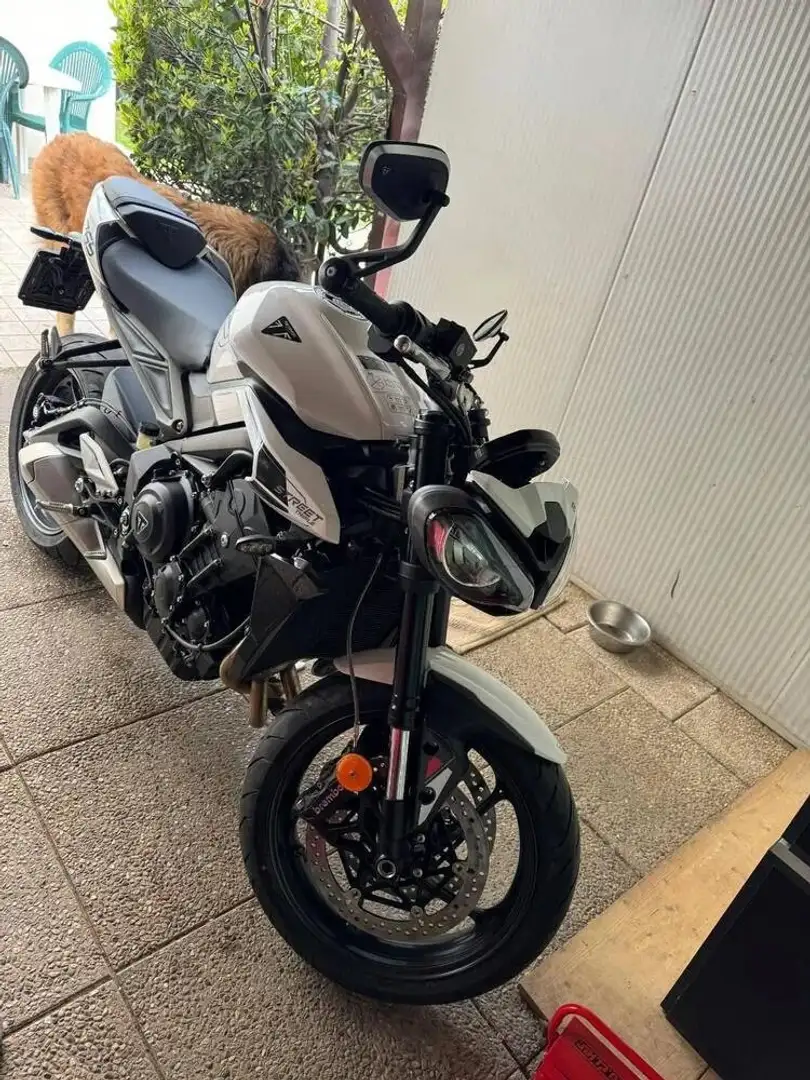 Triumph Street Triple 765 Bianco - 1