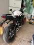 Triumph Street Triple 765 Bianco - thumbnail 4
