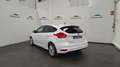 Ford Focus 1.0 Ecoboost Trend Edition 125 Blanco - thumbnail 7