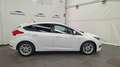 Ford Focus 1.0 Ecoboost Trend Edition 125 Blanco - thumbnail 6
