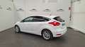 Ford Focus 1.0 Ecoboost Trend Edition 125 Blanco - thumbnail 8