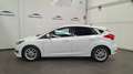 Ford Focus 1.0 Ecoboost Trend Edition 125 Blanco - thumbnail 3