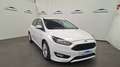 Ford Focus 1.0 Ecoboost Trend Edition 125 Blanco - thumbnail 5