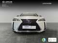 Lexus UX 250h Business 2WD Blanc - thumbnail 8