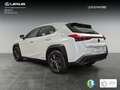 Lexus UX 250h Business 2WD Blanc - thumbnail 5