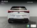 Lexus UX 250h Business 2WD Blanc - thumbnail 7