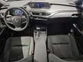 Lexus UX 250h Business 2WD Blanc - thumbnail 14