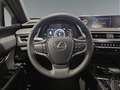 Lexus UX 250h Business 2WD Blanc - thumbnail 15