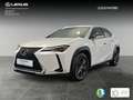 Lexus UX 250h Business 2WD Blanc - thumbnail 4